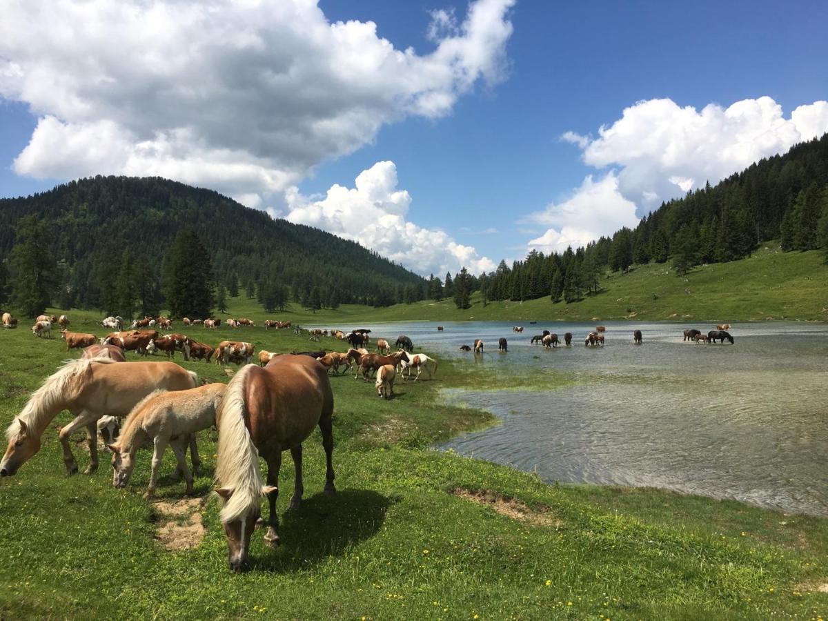 Landhaus Kloosterstube Hermagor-Pressegger See Dış mekan fotoğraf